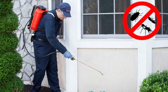 Çaykara Bit İlaçlama böcek ilaçlama ve haşere kontrolü — ilaclama-tr.com